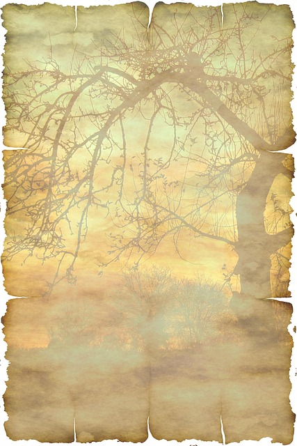 Free paper stationery parchment illustration