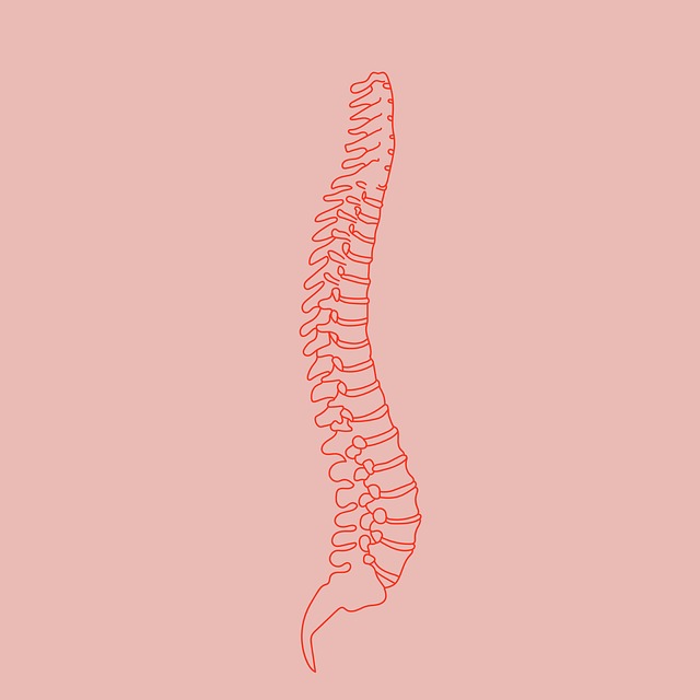 Free back skeleton boho illustration