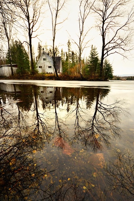 Free Landscape Nature photo and picture
