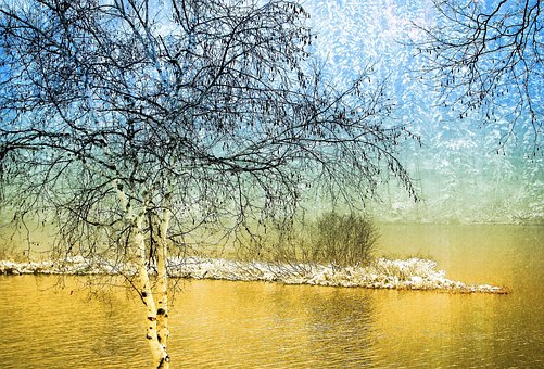 Free Landscape Winter photo and picture