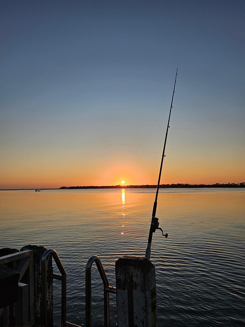 Fiske, Fisker, Hav, Natur, Vann