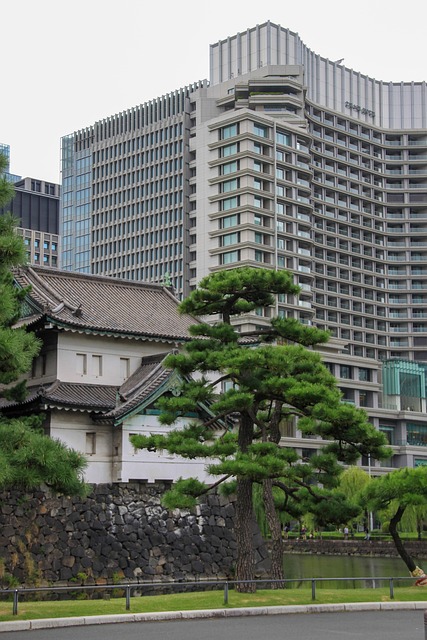 Free Japan Contest Japan photo and picture
