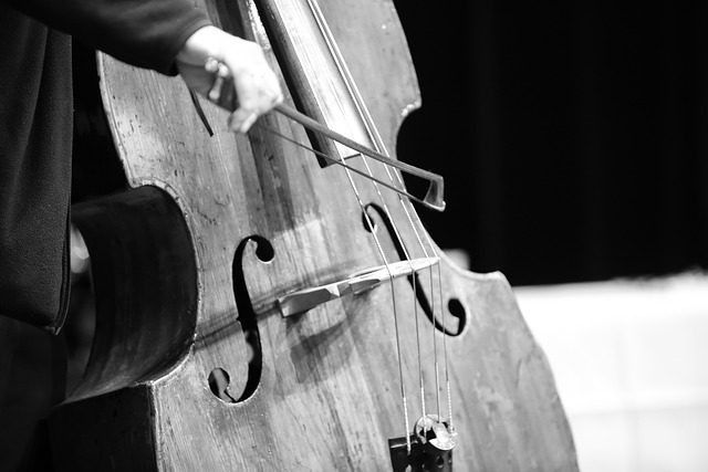 10+ Free Contrabass & Jazz Images - Pixabay