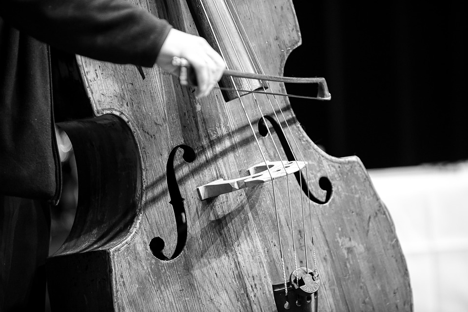 Contrabass Cellist Music - Free photo on Pixabay