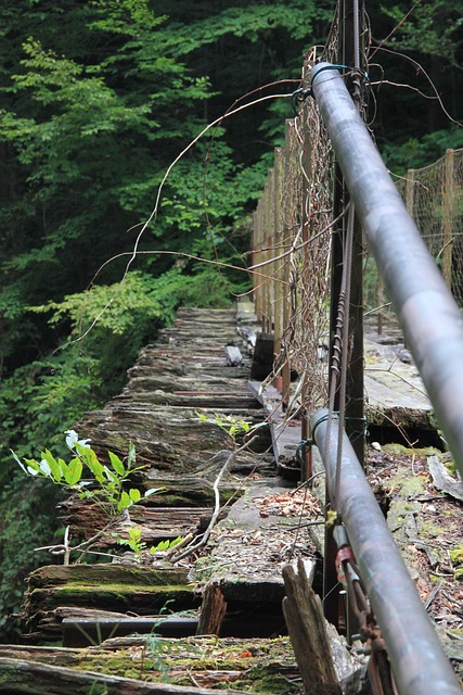 Free Old Bridge Japan photo and picture