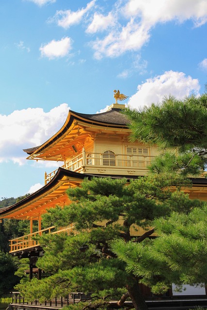 Free Kinkakuji Japan photo and picture