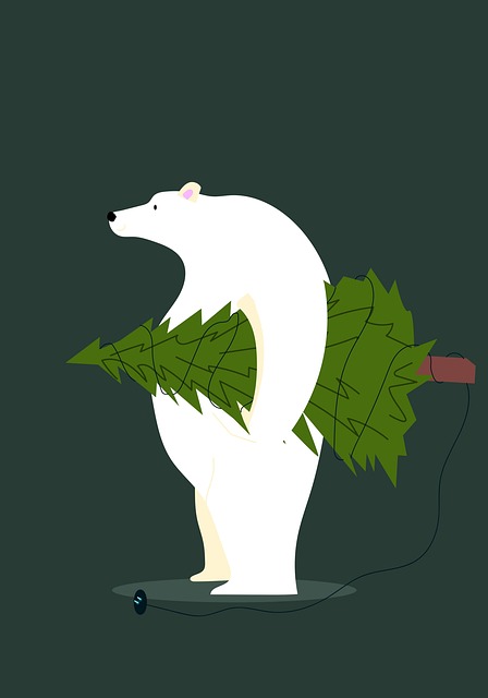 Download free HD stock image of Polar Bear Bear Free polar bear bear winter illustration