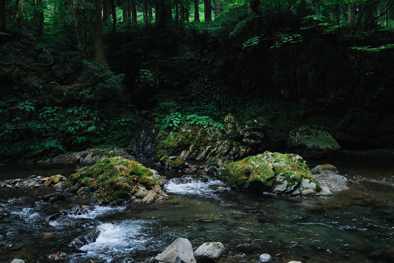 Download free HD stock image of Japan Natural Free Japan Natural photo and picture