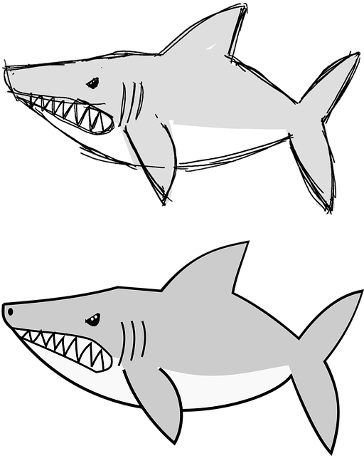 Free Shark Cartoon vector and picture