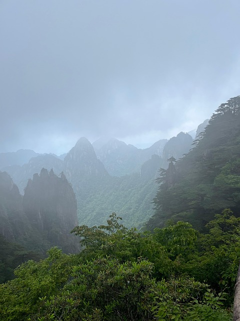 Free Mountain Natural photo and picture