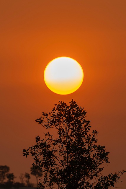 Free Structure Sun photo and picture