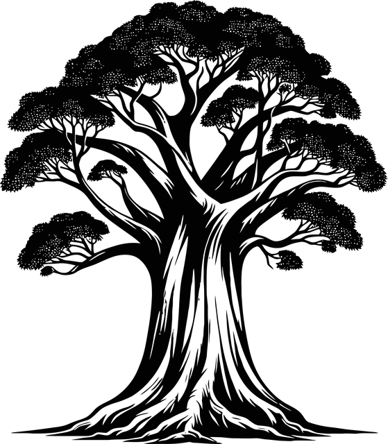 Banyan Træ, Ficus Benghalensis