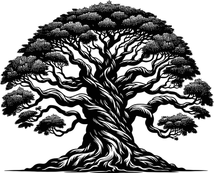 Banyan Træ, Ficus Benghalensis