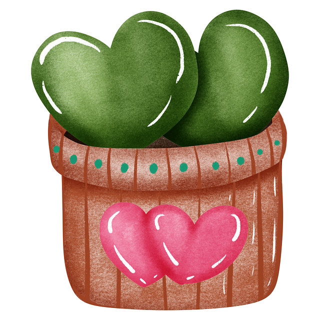 Free hoya nature plant illustration