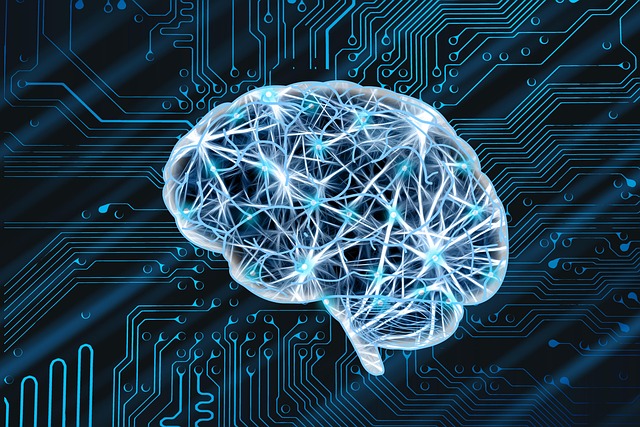 Free network brain neurons illustration