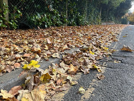 Herbst, Blätter, Blatt, Gehweg