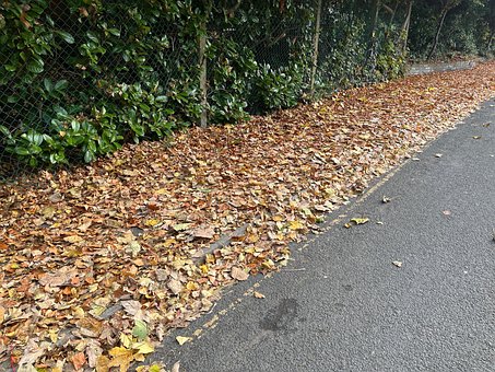 Herbst, Blätter, Blatt, Gehweg