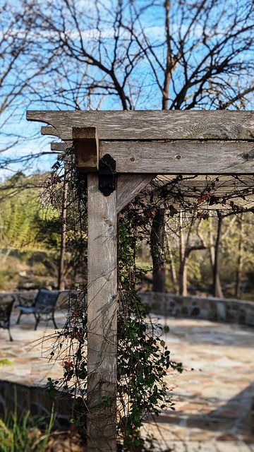 Free Arbor Nature photo and picture