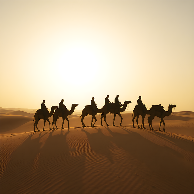 Download free HD stock image of Camel Sand Free camel sand desert illustration
