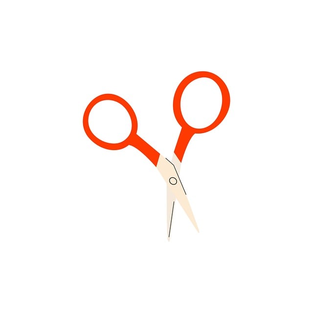 Free scissors tool cut vector