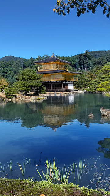 Free Japan Japancontest photo and picture