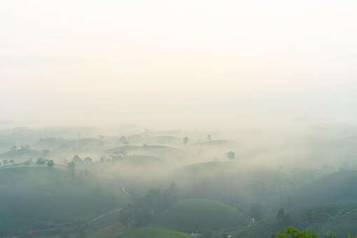 Morgen, Natur, Landschaft, Frieden