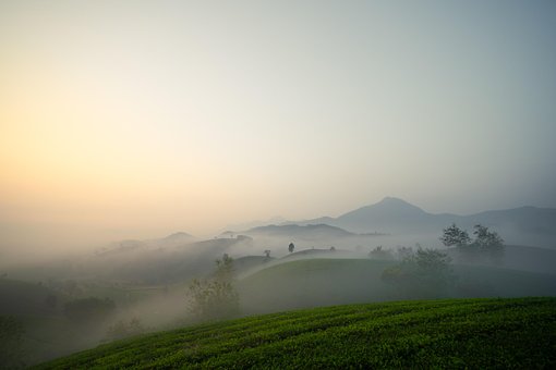 Morgen, Natur, Landschaft, Frieden