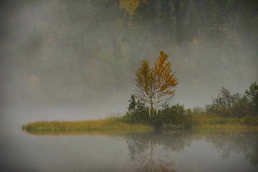 Free Landscape Nature photo and picture