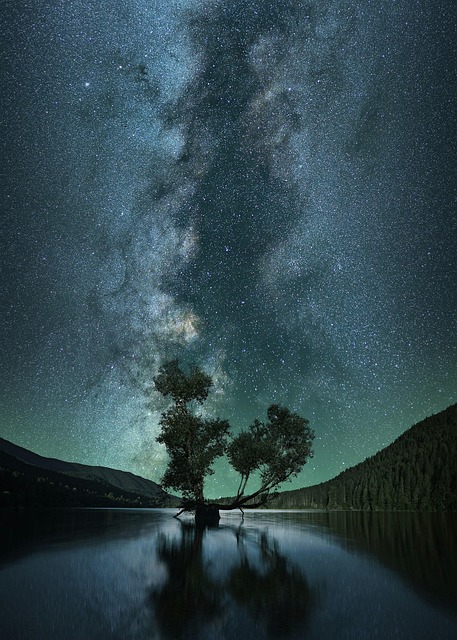Free ai generated night lake illustration