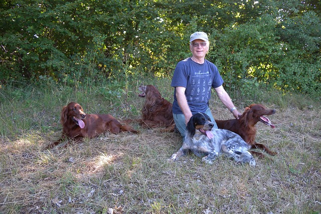 Free Pet Dog photo and picture