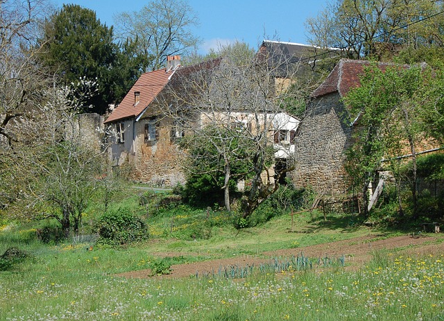 Free France Village photo and picture
