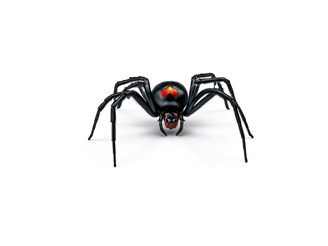 Free ai generated black widow spider illustration