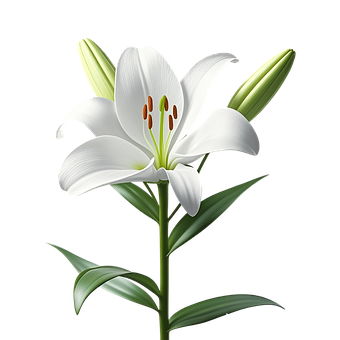 Free Ai Generated Flower illustration and picture