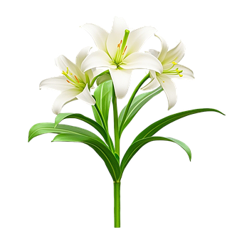 Free Flower Natural illustration and picture