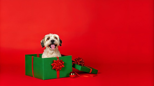 Free ai generated dog christmas illustration