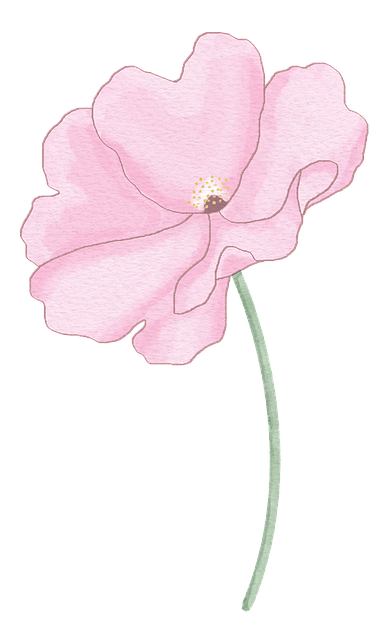 Floare, Petale, Bloom, Acuarelă, Natura