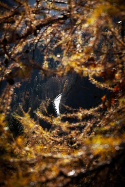 Dolomitterne, Natur, Bjerge, Efterår