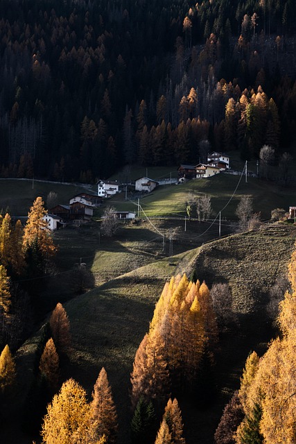 Bjerge, Dolomitterne, Natur, Efterår