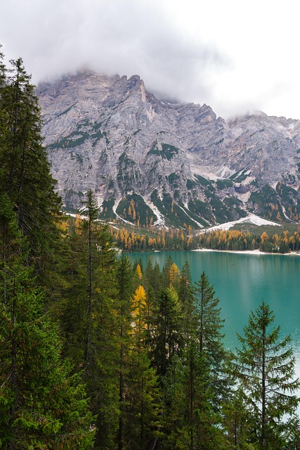 Bjerge, Sø, Braies, Lago Di Braies