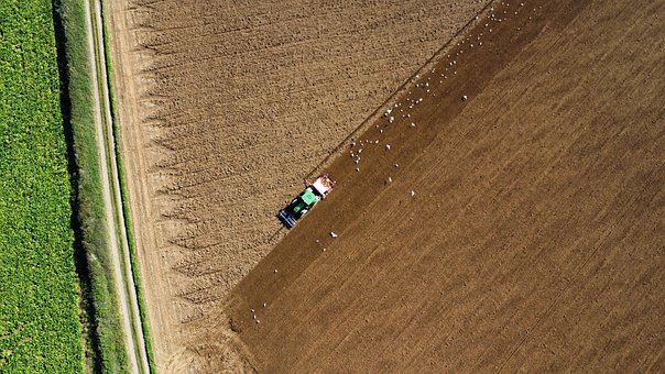 Felt, Traktor, Landbrug, Hd Tapet, Gård