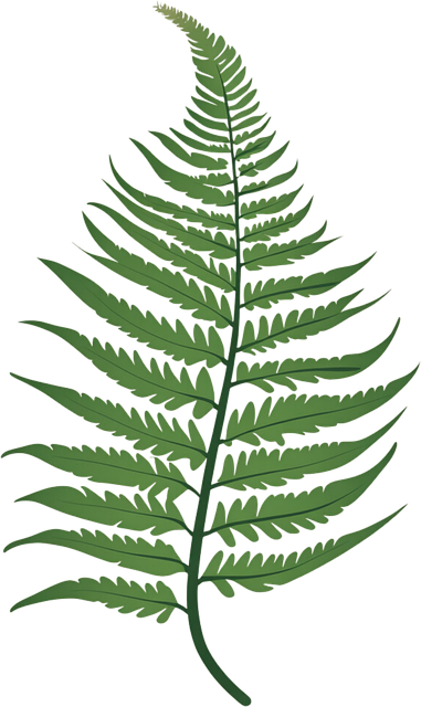 Free ai generated plant bracken leaves illustration