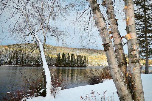 Free Landscape Nature photo and picture