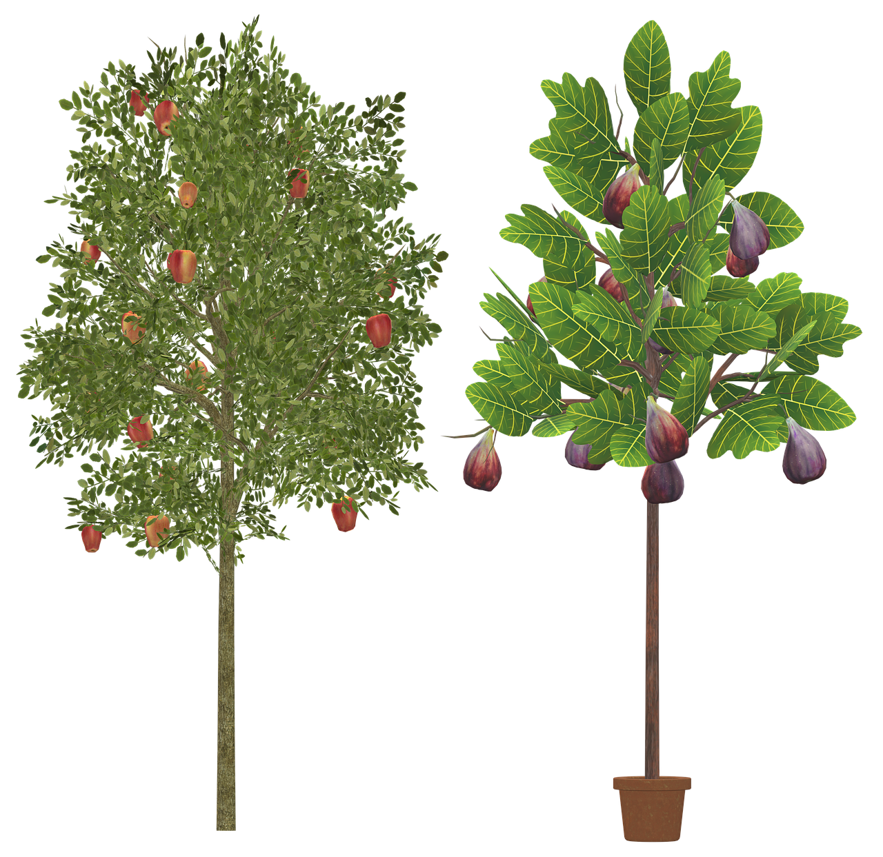 Plus de 40 illustrations gratuites de Figues et de Ai Généré - Pixabay