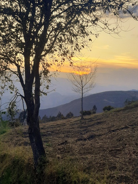 Atardecer, Sol, Solnedgang, Natur