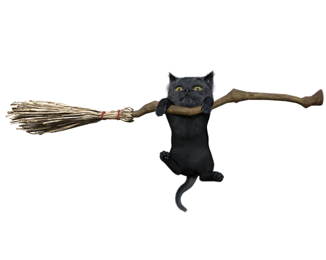 Free cat feline kitten illustration