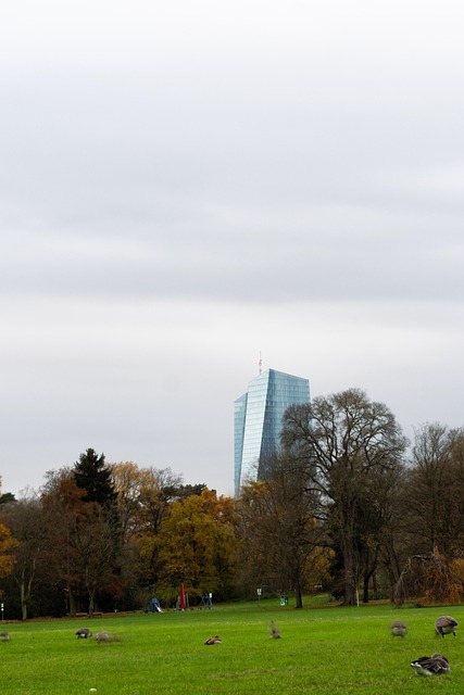 Ezb, Frankfurt, Skyline, Hochhaus