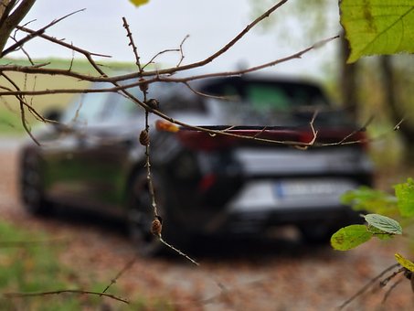 Free Automobile Vehicle photo and picture