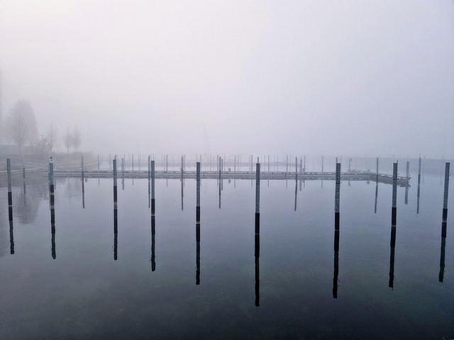 Free Water Nature photo and picture