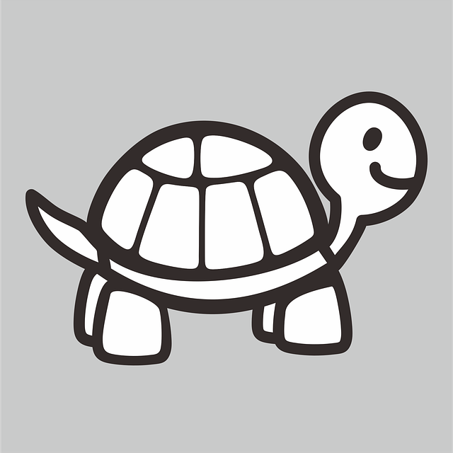 Free Turtle Animal vector and picture