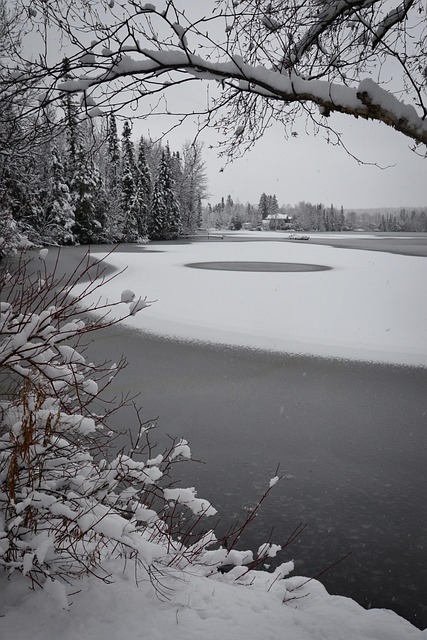 Free Landscape Winter photo and picture